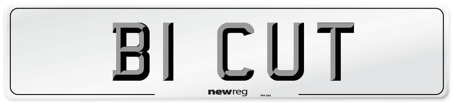 B1 CUT Number Plate from New Reg
